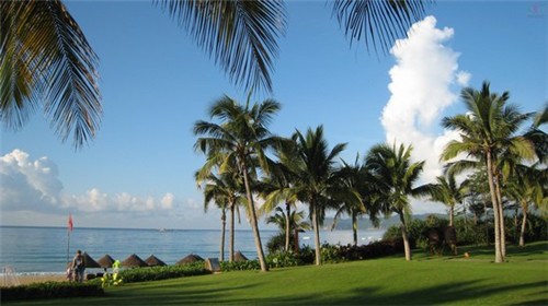 张班长新派粗粮拌饭