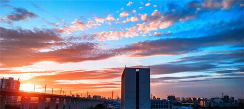 深海一只鱼酸菜鱼米饭