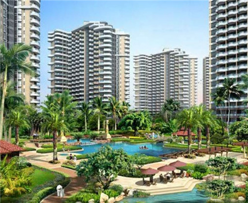 好莱鸡炸鸡汉堡