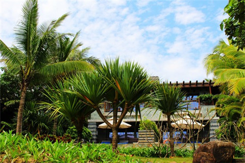 张家川回族自治县加盟大明号包子正常几年回本