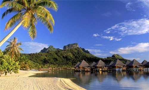 香辣金针菇加盟连锁店排行榜，香辣金针菇多少钱