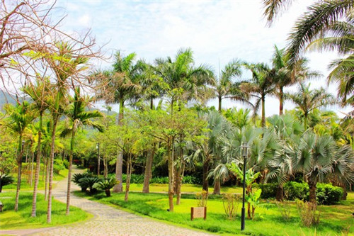 仙蒂兰德品牌标志（仙蒂兰德旗舰店）