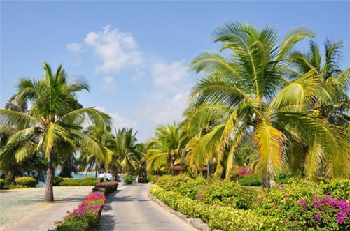 姓陶的业字辈起什么名字好（姓陶的叫什么名字霸气）