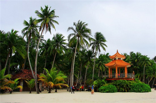 木房子有马蜂怎么消灭（木房子有蚂蚁怎么办）