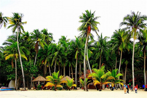 外网吃鸡手游叫什么（外服吃鸡游戏）