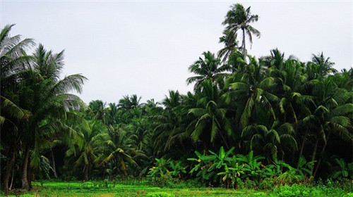 物业管理标准化是什么（物业管理标准化是什么意思）