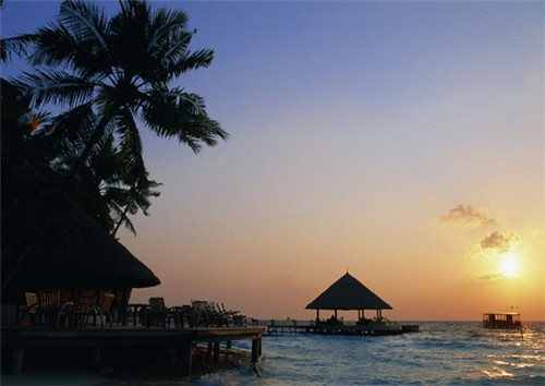 如何查中考分数排名表（如何查中考分数排名表格）