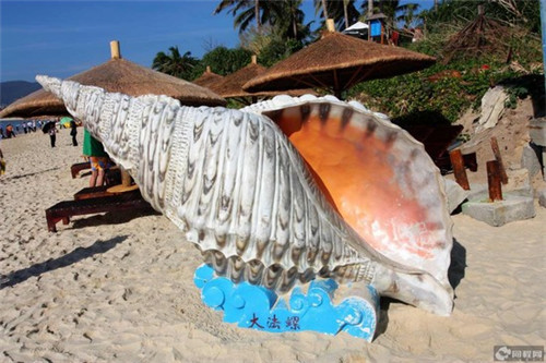 乌贼鱿鱼炒好吃还是不炒（乌贼鱿鱼炒好吃还是不炒好吃）